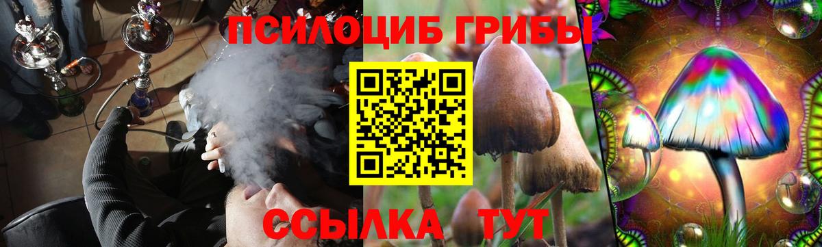Псилоцибиновые грибы мицелий Краснознаменск